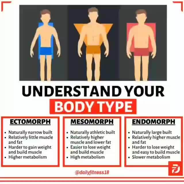 UNDERSTAND YOUR BODY TYPE ECTOMORPH Naturally narrow built Relatively ...