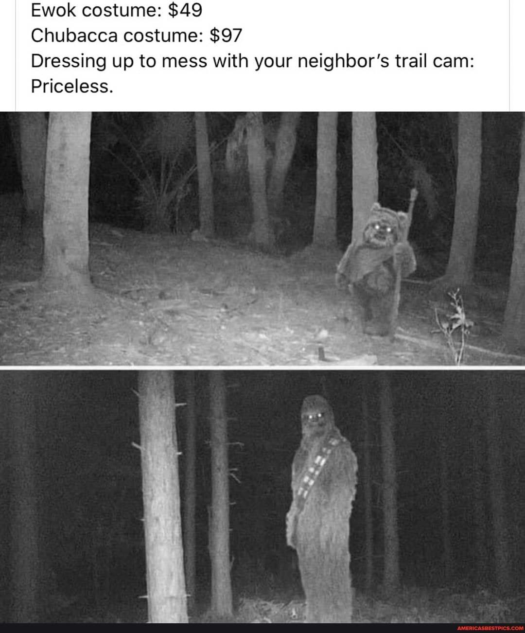 Ewok costume: $49
Chubacca costume: $97
Dressing up to mess with your neighbor's trail cam:
Priceless.