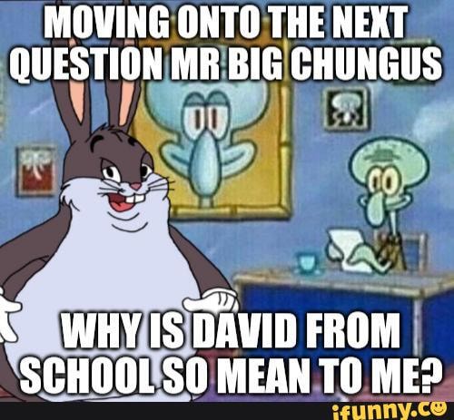 MOVING ONTO THE NEXT.
QUESTION MR'BIG.CHUNGUS
ris I
SCHOOUSO MEAN TO ME?