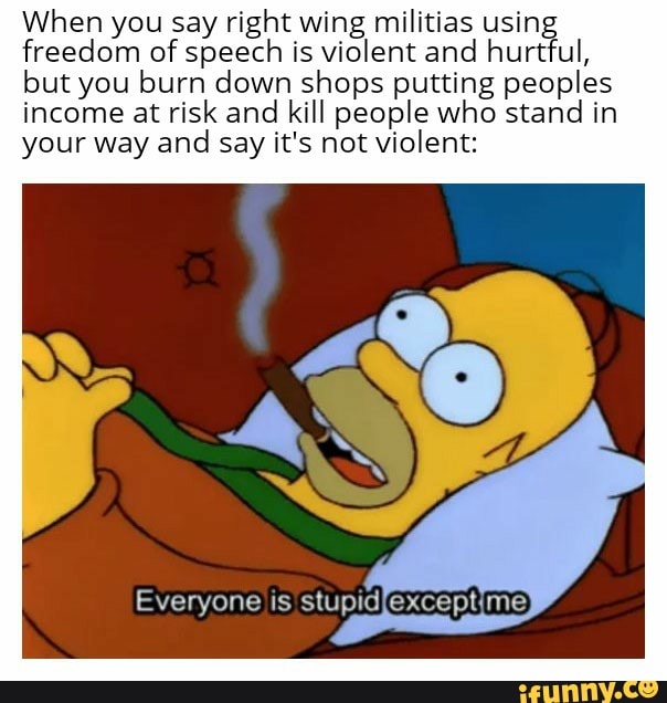 When you say right wing militias using freedom of speech is violent and ...