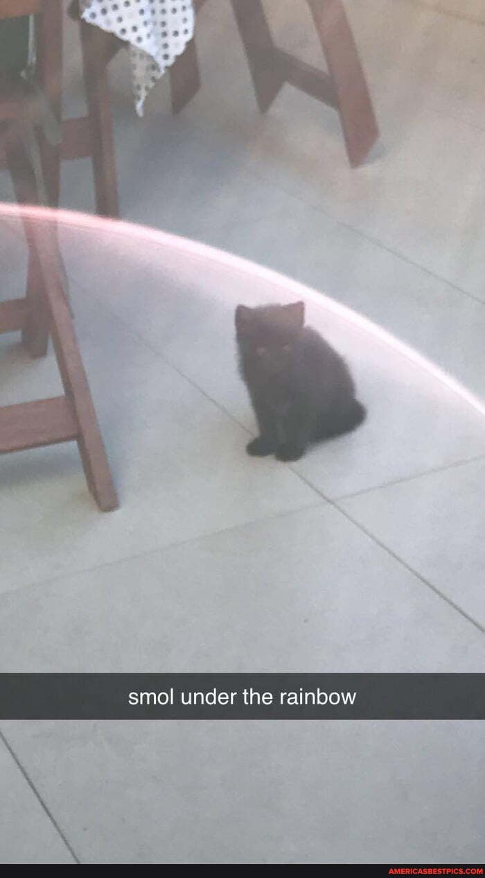 smol under the rainbow