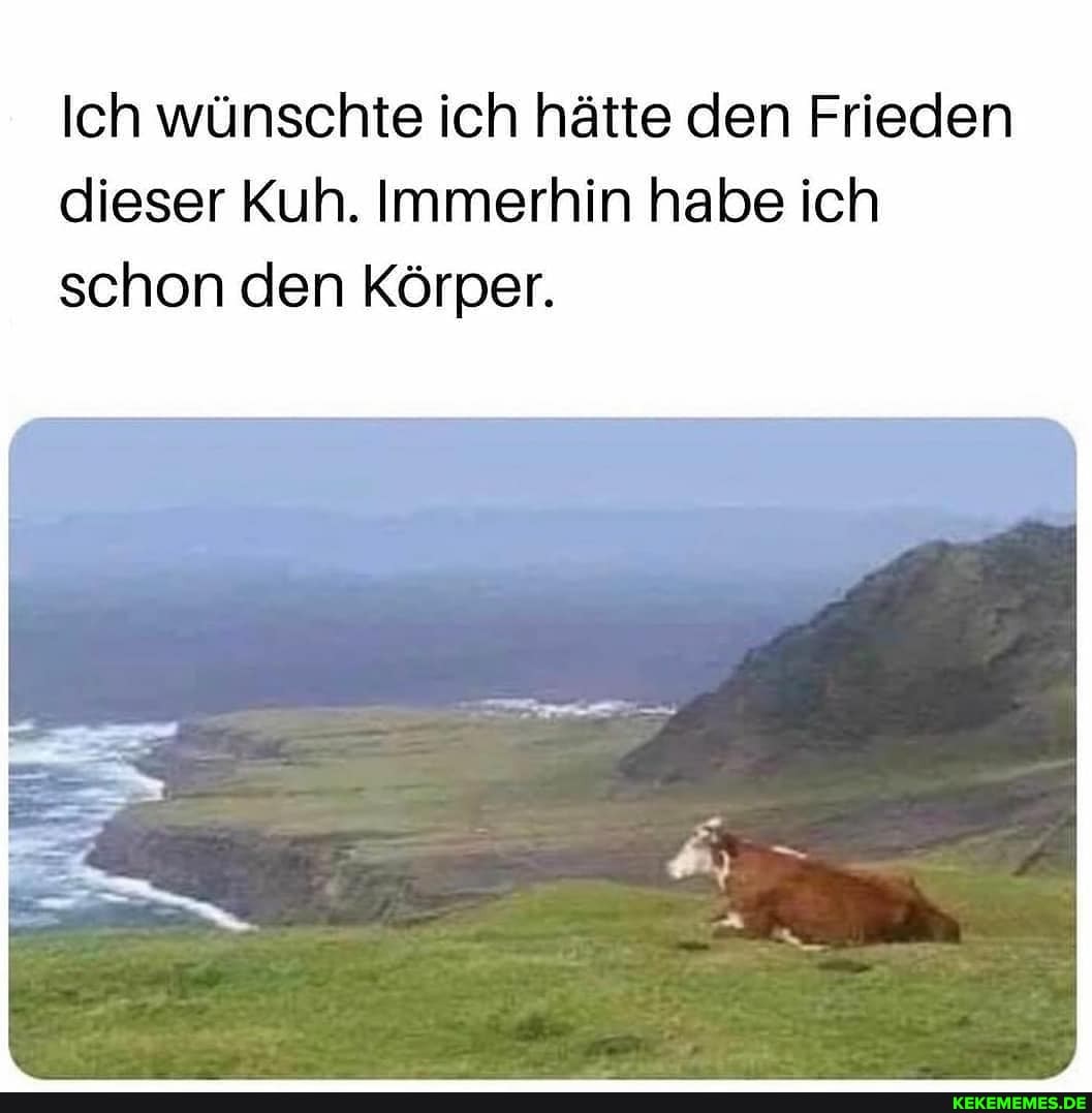 Ich wünschte ich hätte den Frieden dieser Kuh. Immerhin habe ich schon den Körper.
