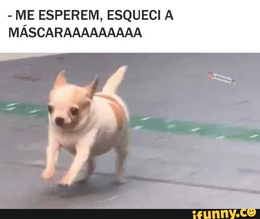 ME ESPEREM, ESQUECI A MÁSCAI