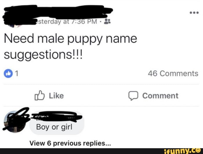 Need male puppy name
suggestions!!!
O1 46 Comments
View 6 previous replies...