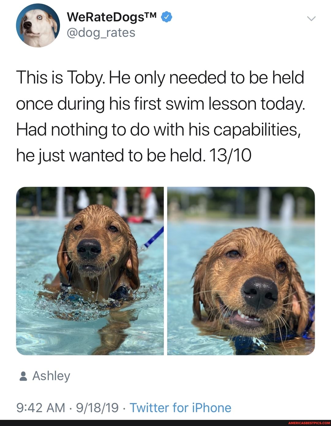This is Toby. He only needed to be held once during his first swim lesson today.
Had nothing to do with his capabilities, he just wanted to be held.
& Ashley
AM - - Twitter for iPhone