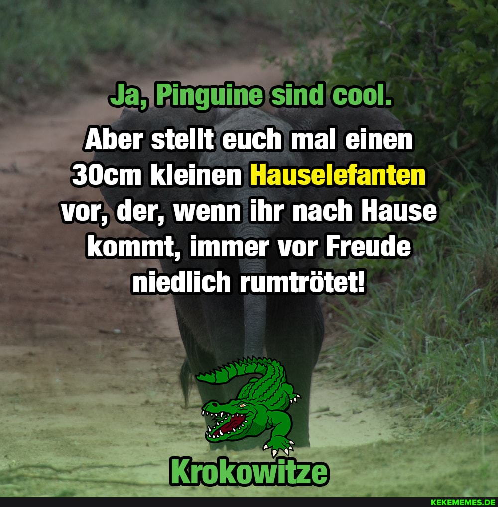 sind cool.
Aber stellt euch mal einen
30cm kleinen vor, der, wenn ihr nach Hause kommt, immer vor Freude niedlich rumtrötet!