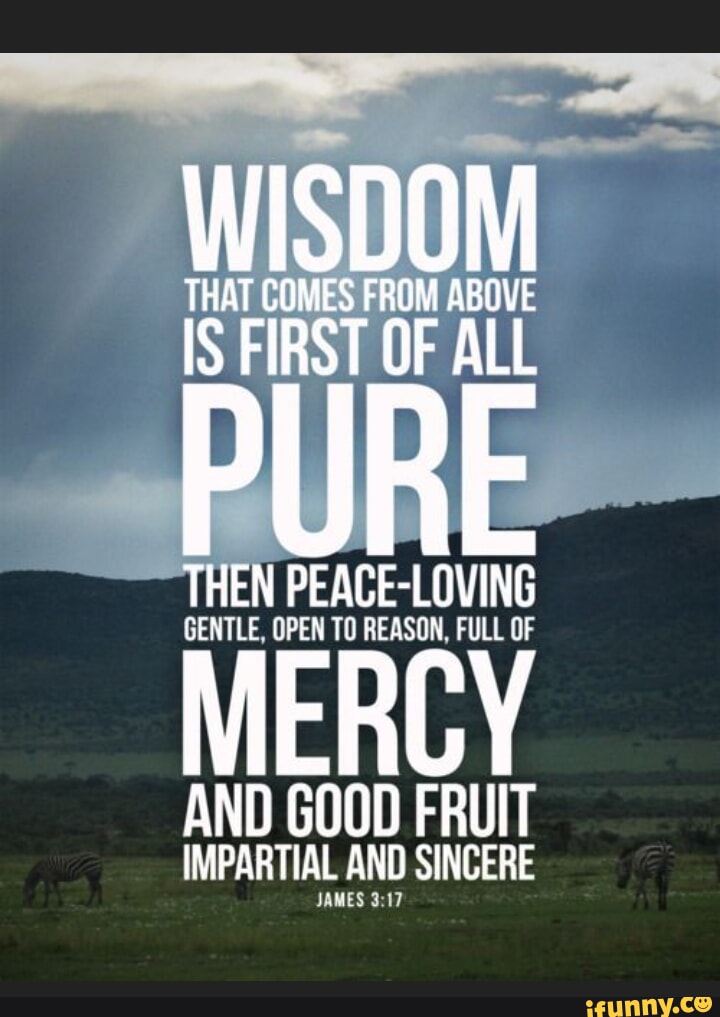 WISDOM THAT COMES FROM ABOVE IS FIRST OF ALL THEN PEACE LOVING GENTLE   A88fa582d260ef70bb948caa17376b1c3d6d97653dcc7672178848fb8a930088 1 