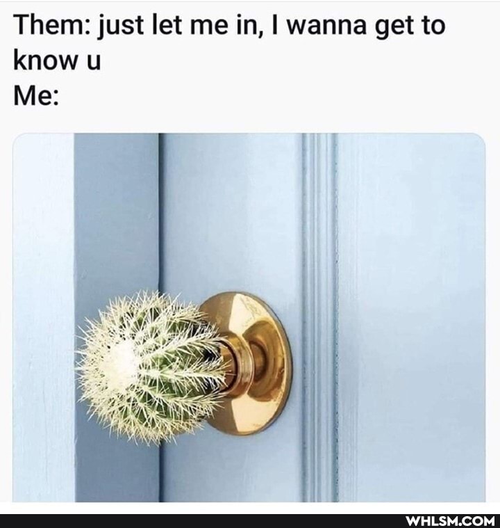 Them: just let me in, I wanna get to know u
Me:
