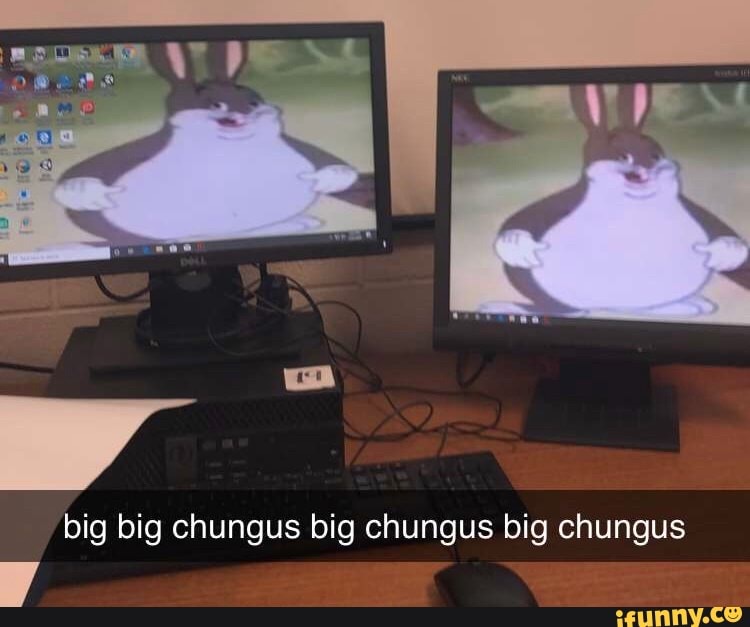 Big Big Chungus Big Chungus Big Chungus Ifunny 1141