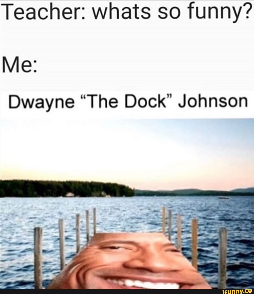 Dwayne the dock johnson