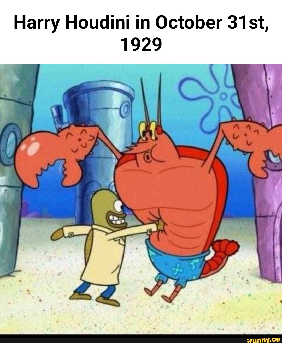 Scientists have discovered that, on occasion, an octopus will "punch" a