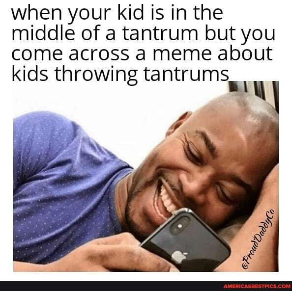 When your kid is in the middle of a tantrum but you come across a meme