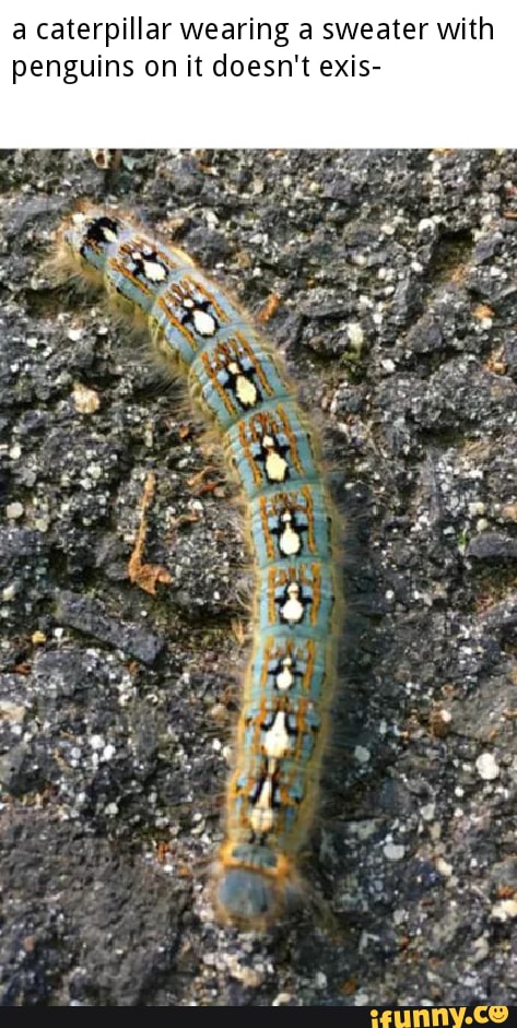 a caterpillar wearing a sweater with
penguins on it doesn't exis-