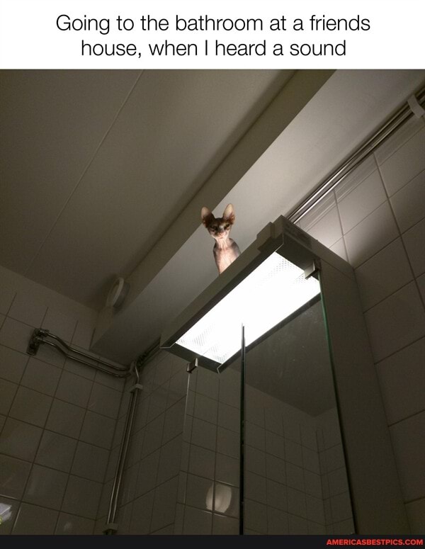 Going to the bathroom at a friends house, when I heard a sound