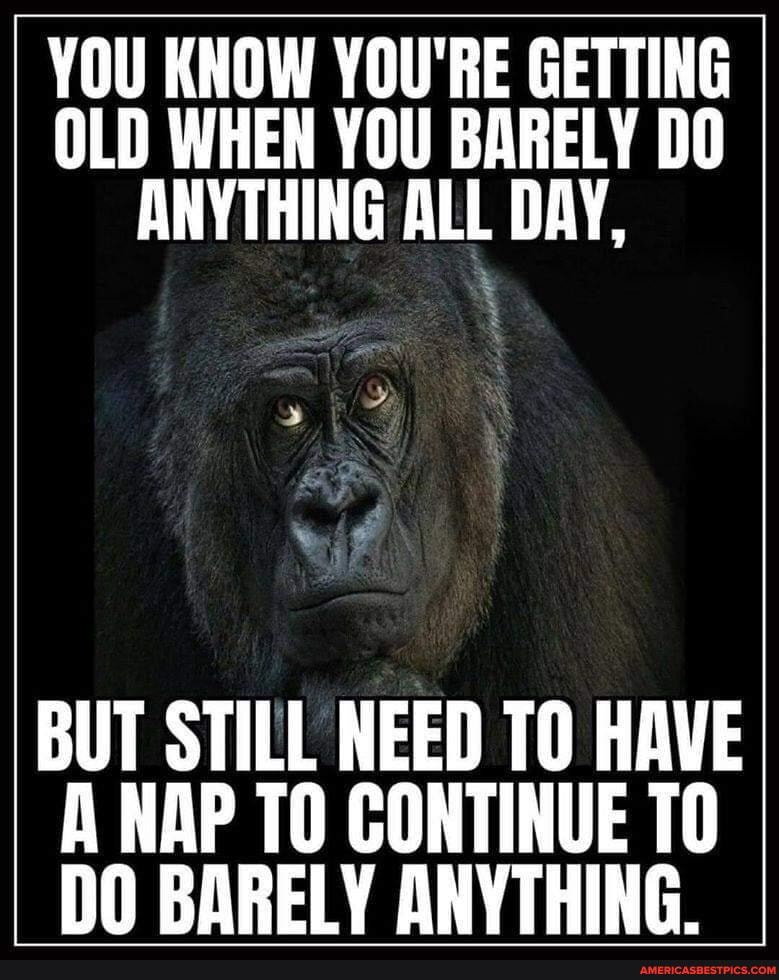 YOU KNOW YOU'RE GETTING OLD WHEN YOU BARELY DO ANYTHING ALL DAY,
BUT STILL NEED TO HAVE A NAP TO CONTINUE TO DO BARELY ANYTHING.
