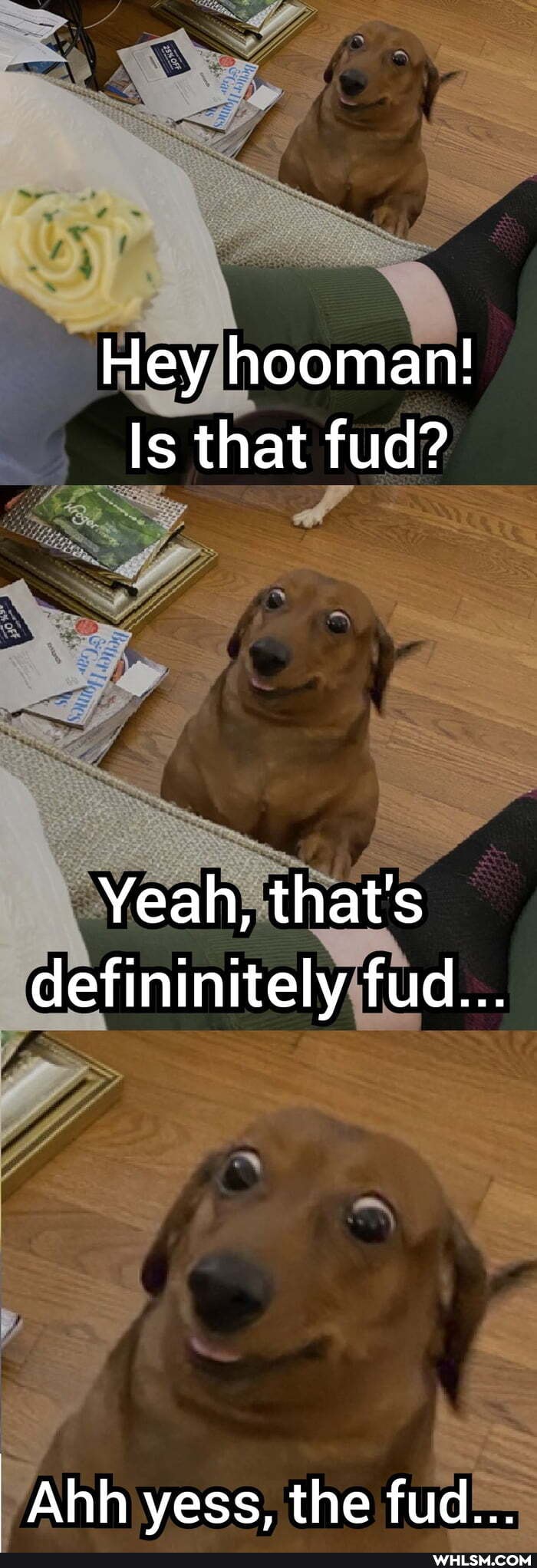 Hey hooman!
Is that fud?
Yeah, that's defininitely fud...
Ahh yess, the fud...