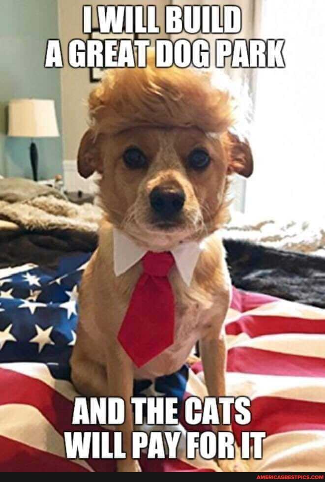 TWILL BUILD A GREAT DOGPARK
AND THE CATS WILL PAY FOR IT