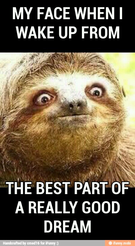 MY FACE WHEN I
WAKE UP FROM
THE BEST
PART OF"
A REALLY GOOD
DREAM