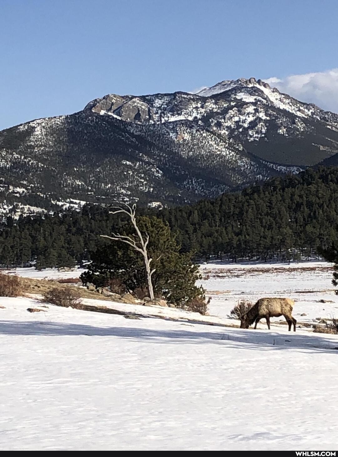 nature, the_great_outdoors, colorado, nationalpark