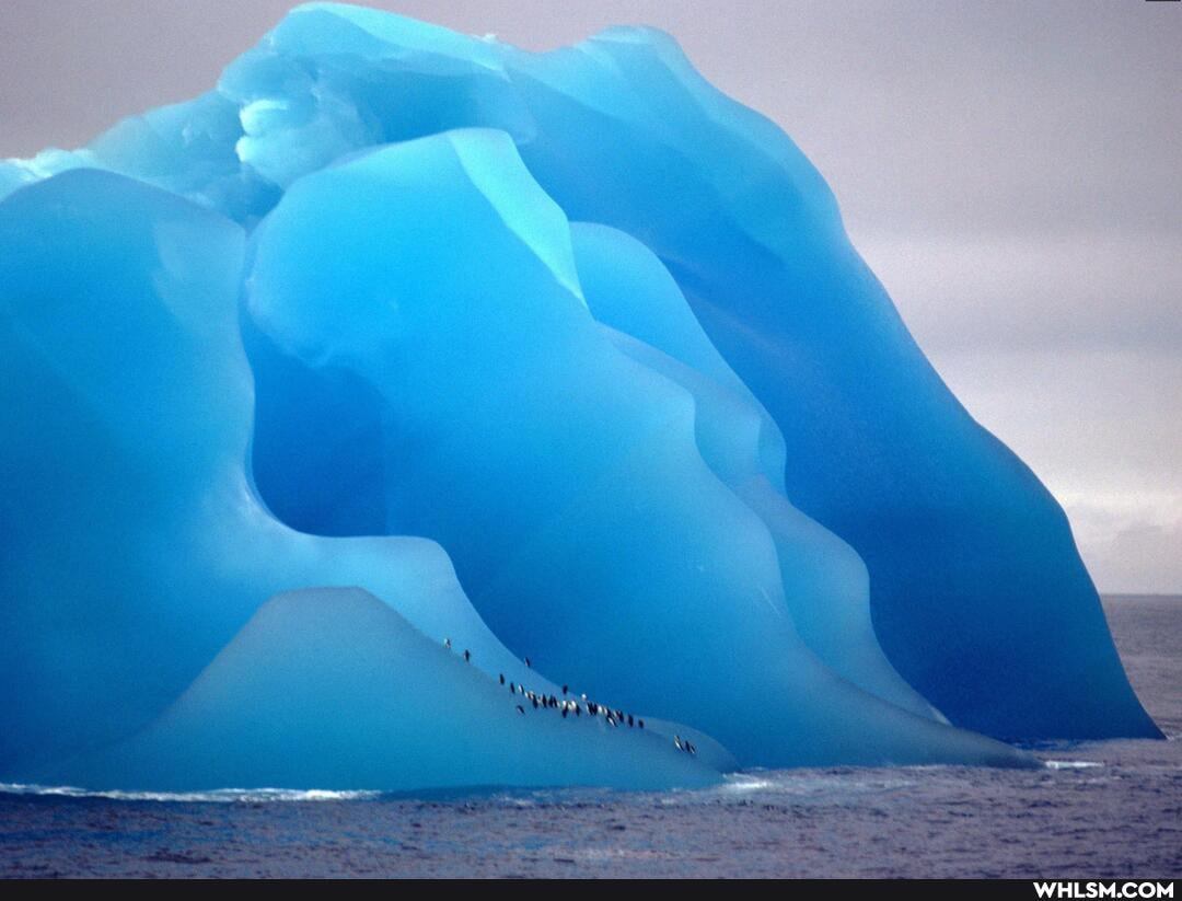photography, awesome, amazing, science_and_tech