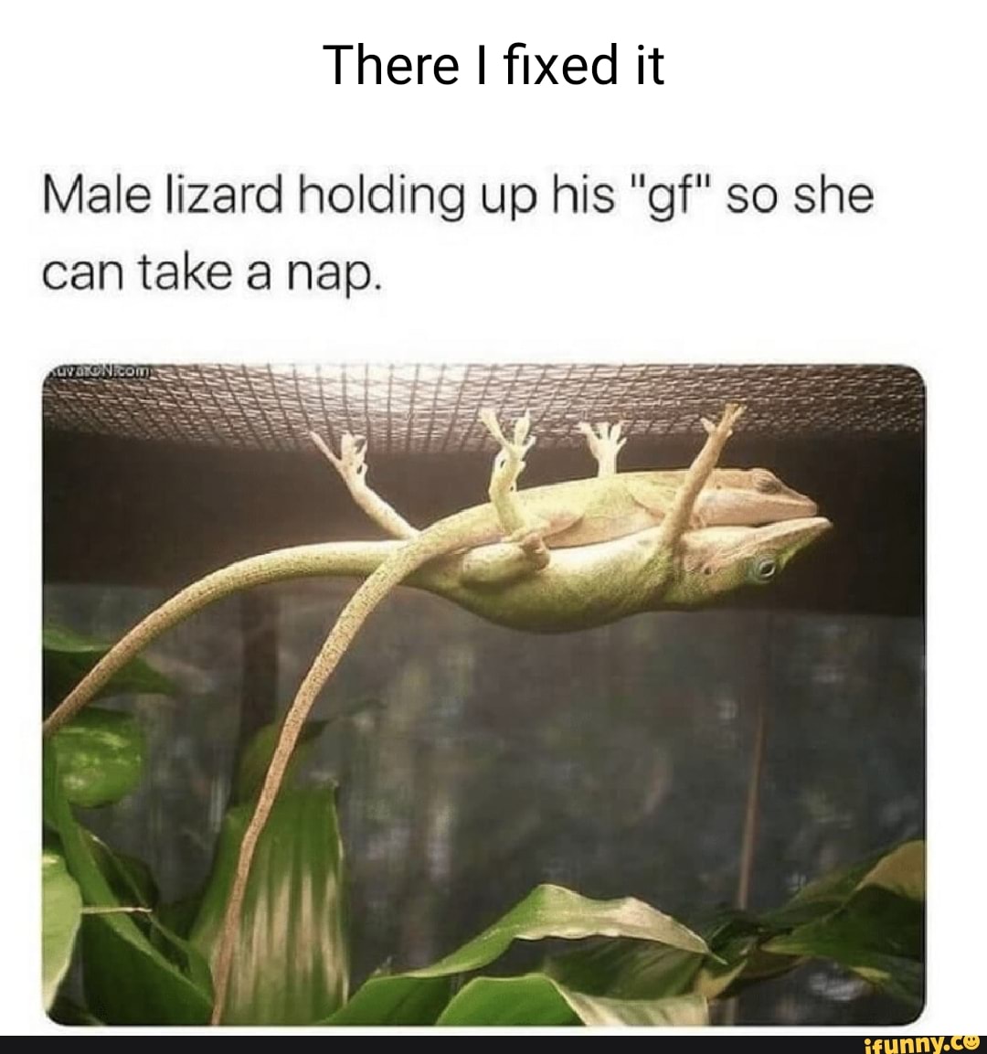 прикольные демотиваторы об отношениях. приколы про отношения. демотиваторы про отношения. смешные высказывания про мужчин. приколы про отношения мужчины и женщины.