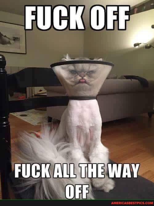 FUCK OFF
FUCK ALL THE WAY