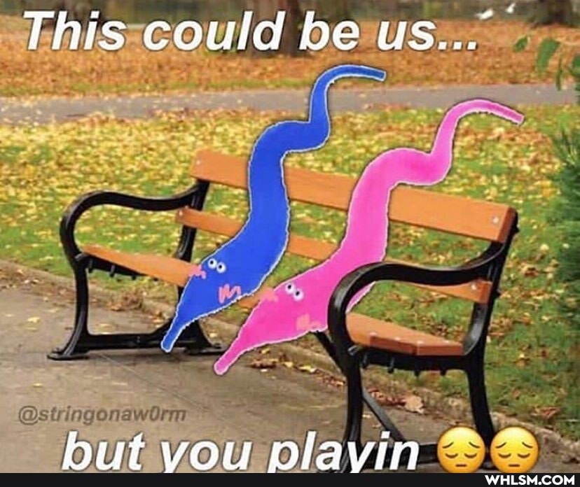 This could be us....
niavwin