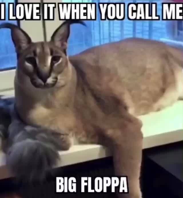 Big Floppa offers you a watermelon. Will you accept this? commit war crimes  YES anainct Carhia - iFunny Brazil