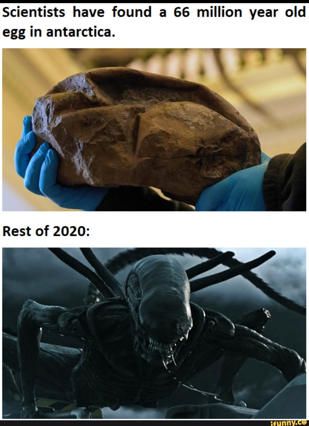Scientists have found a 66 million year old
egg in antarctica.
me