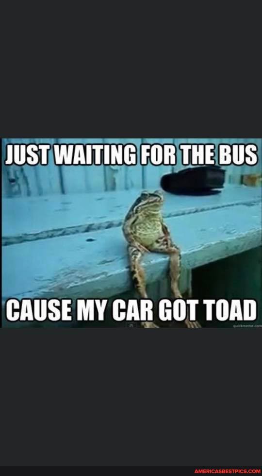 JUST WAITING FOR THE BUS
BS
CAUSE MY CAR GOT TOAD