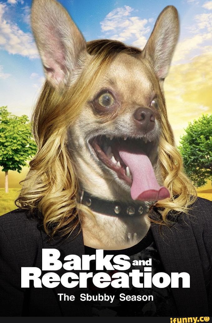 Barks
Recreation
The Sbubby Season
