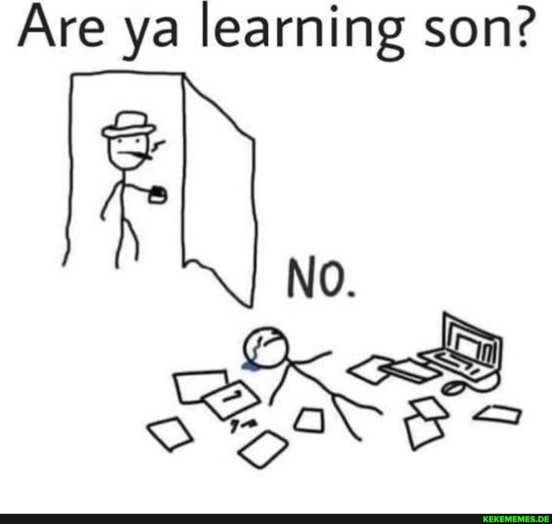 Are ya learning son?
NO.