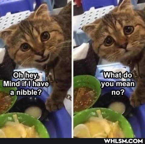 Mind if have a nibble?
What do
you mean no?