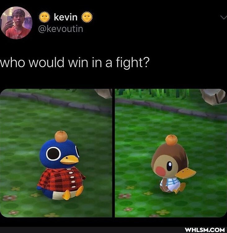 kevin
@kevoutin
who would win in a fight?
Os