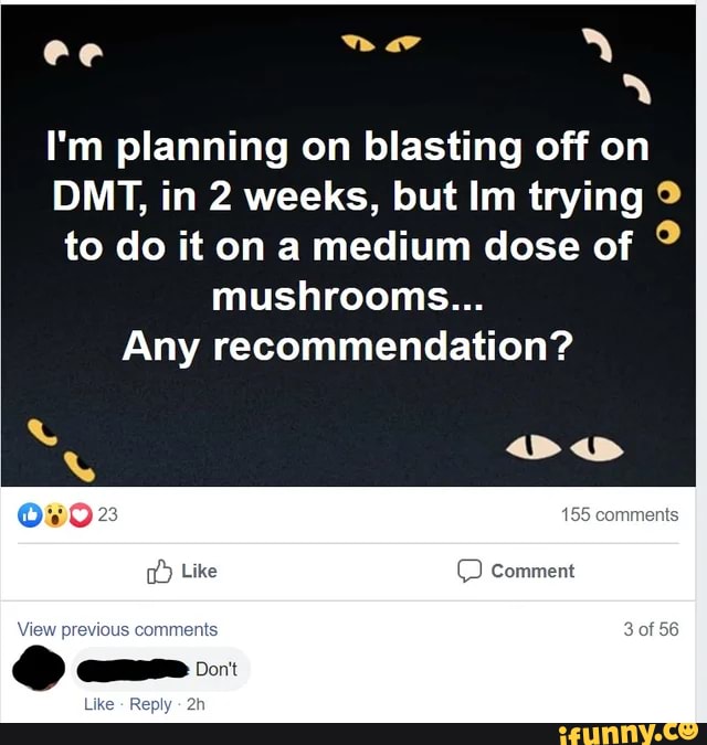 I'm planning on blasting off on
DMT, in 2 weeks, but Im trying to do it on a medium dose of mushrooms...
Any recommendation?
155
Comment