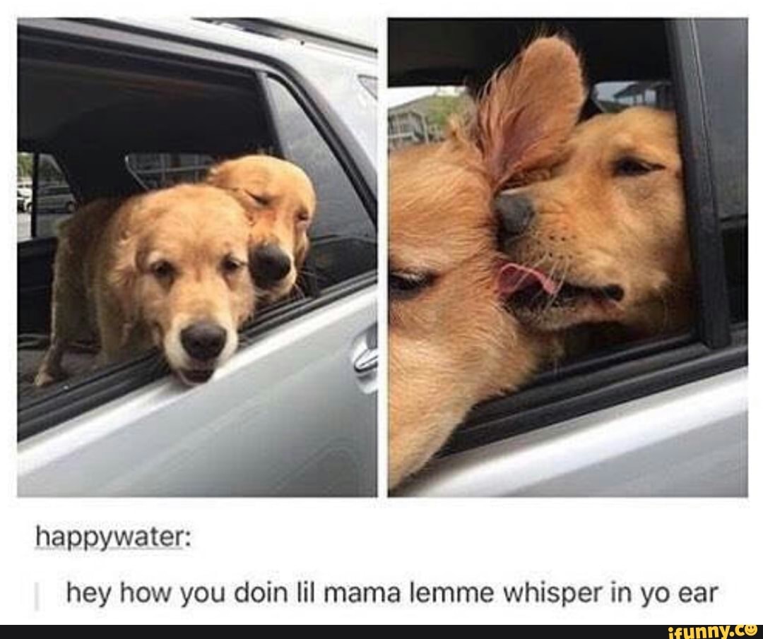 Hey Little Mama Lemme Whisper In Your Ear Meme