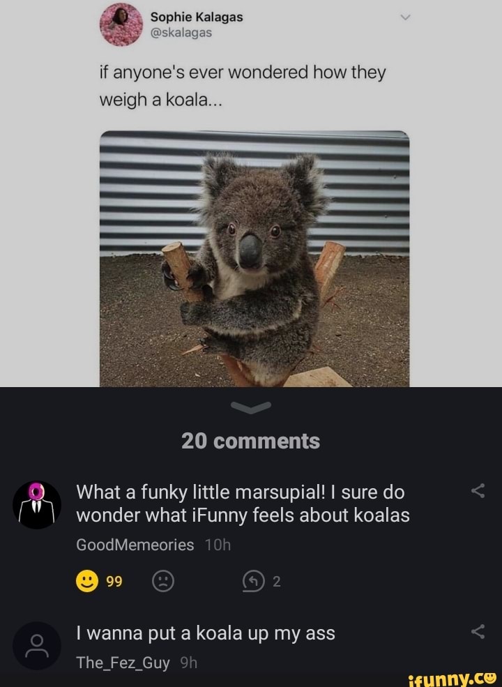 Sophie Kalagas if anyone's ever wondered how they weigh a koala... 20 ...