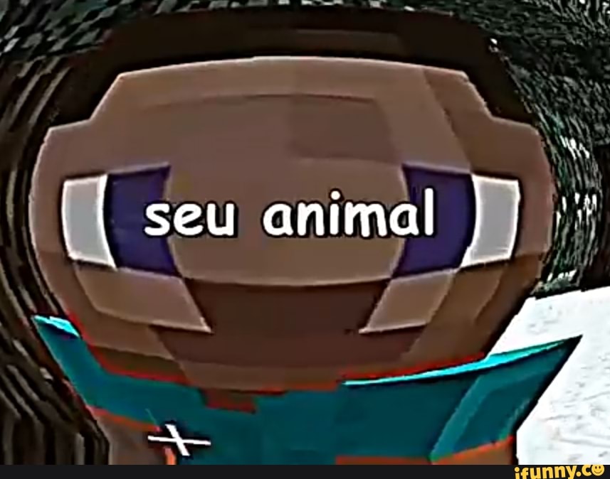 animal B yi I