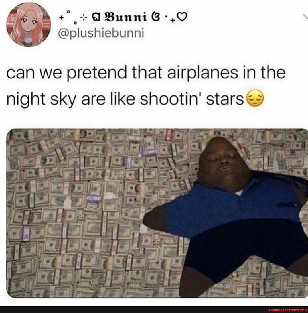 ABunni
@plushiebunni
can we pretend that airplanes in the night sky are like shootin' stars@
ap