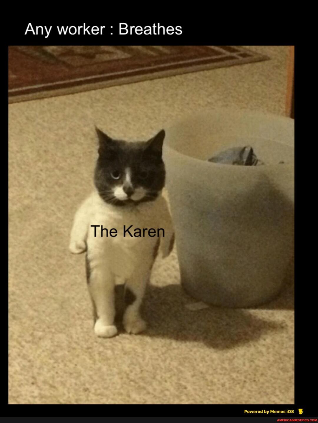 Any worker : Breathes
The Kare
PoweredbyMemesios