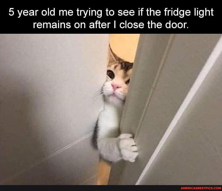 5 year old me trying to see if the fridge light remains on after I close the door.