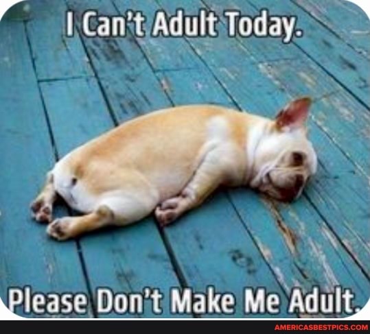 Today:
Please Don't Make Me Adult,