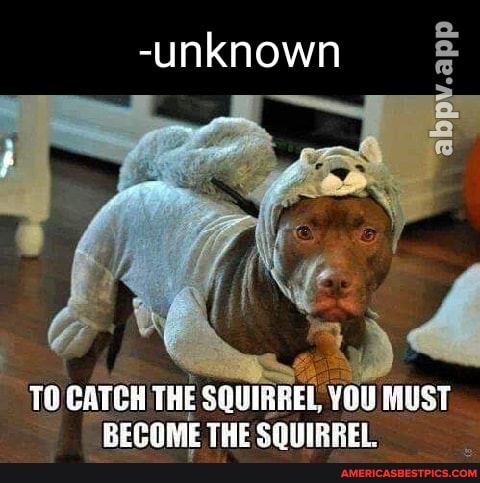 -unknown
TO CATCH THE SOUIRREL, EL YOU MUST BECOME THE SQUIRREL.