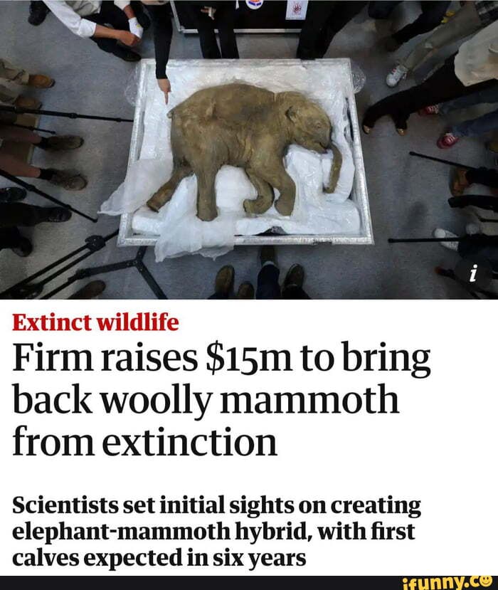 Extinct wildlife Firm raises Sism to bring back woolly mammoth from