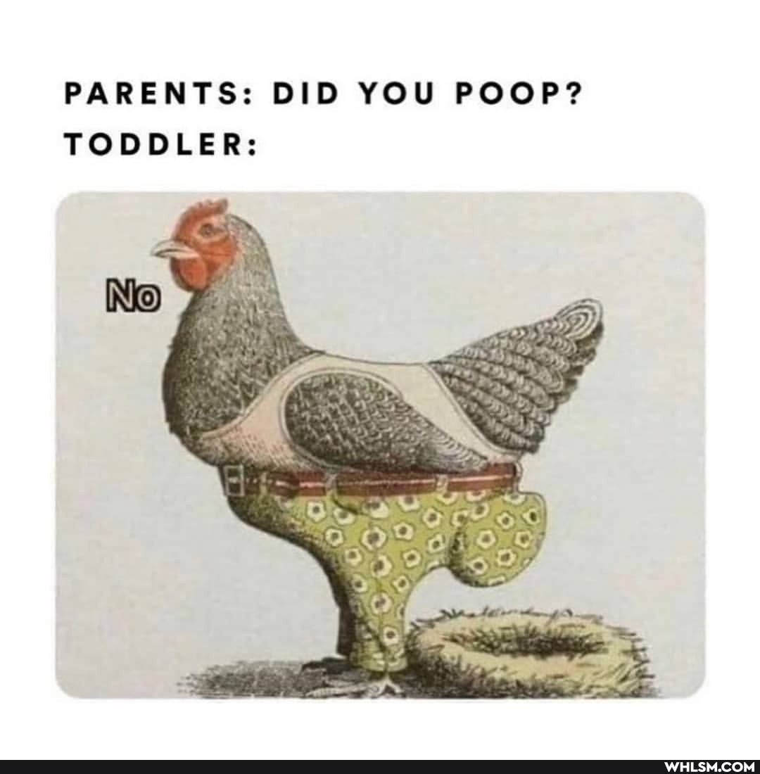 PARENTS: DID YOU POOP?
TODDLER:
Noy