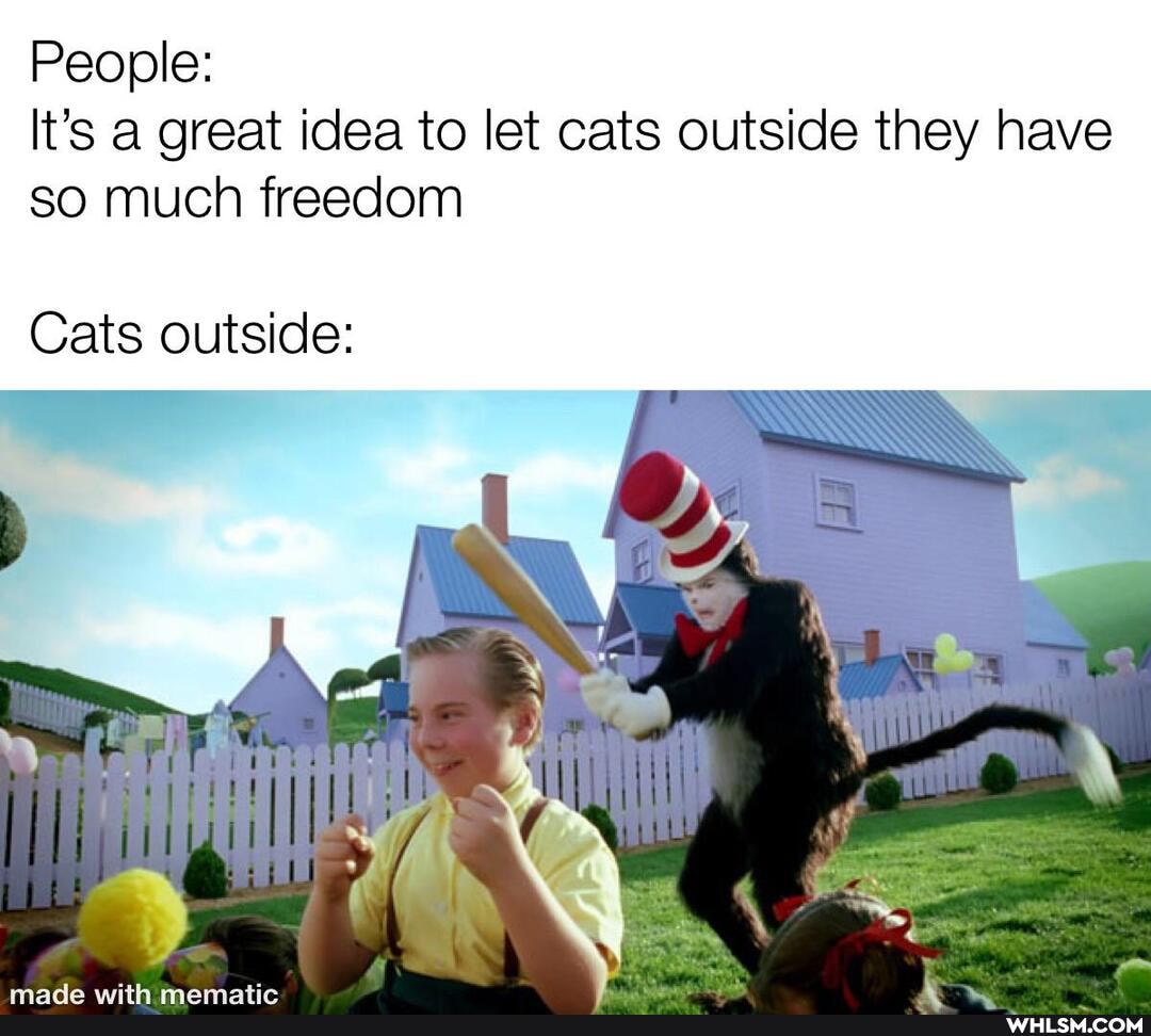 People:
It's a great idea to let cats outside they have so much freedom
Cats outside: