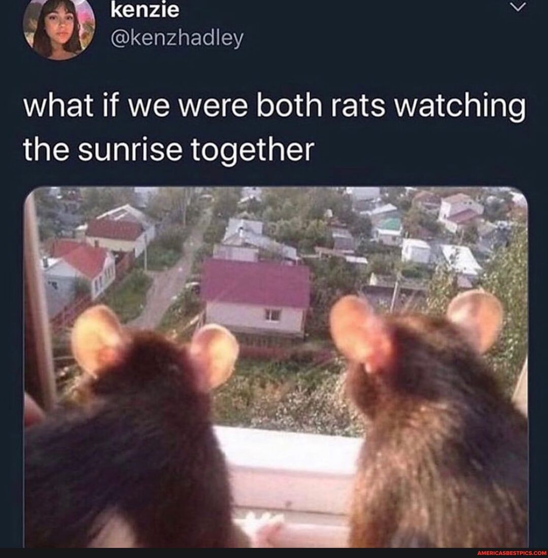 ff kenzie
@kenzhadley
what if we were both rats watching the sunrise together
Ga