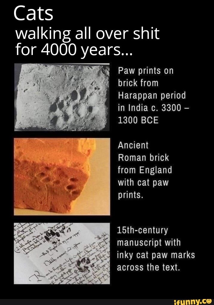 Cats walking all over shit for 4000 years... Paw prints on brick from ...