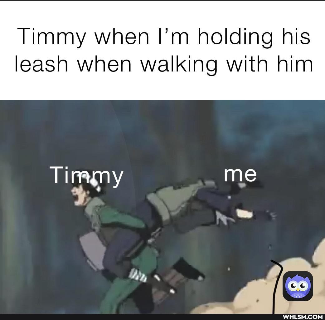 Timmy when I'm holding his
leash when walking with him
Timmy me
Wy,