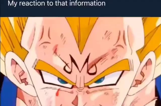 My Reaction To That Information Majin GIF - My Reaction To That